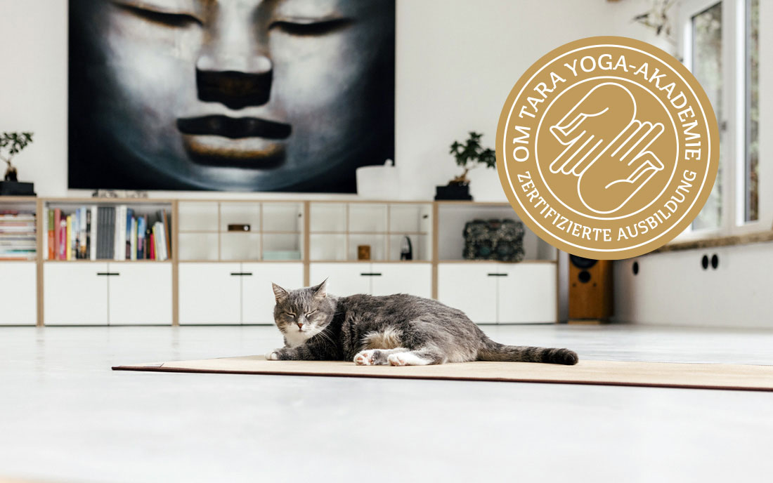 zertifizierte Ausbildung zum Yin Yoga-Lehrer in der Om Tara Yogaakademie Ochsenfurt